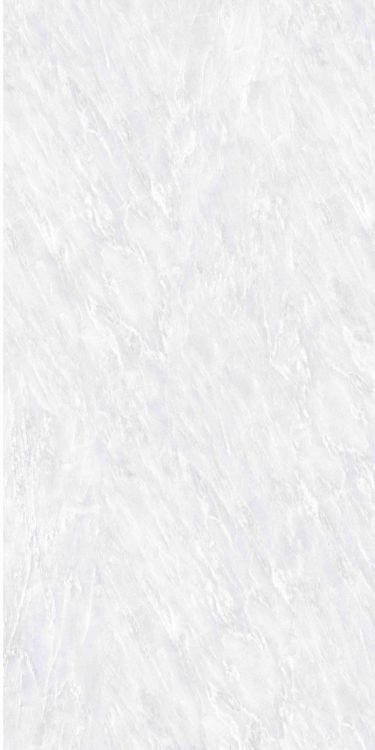OL Vivid White Matte 24 x 48